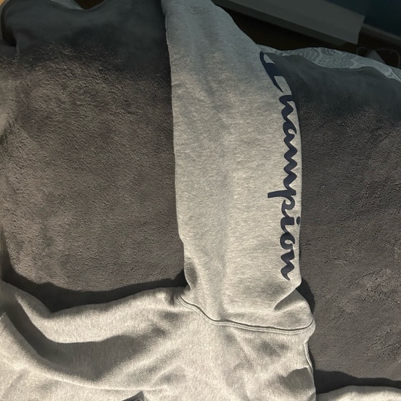 Champion Cropped Grey Hoodie Women’s Large - Picture 3 of 3